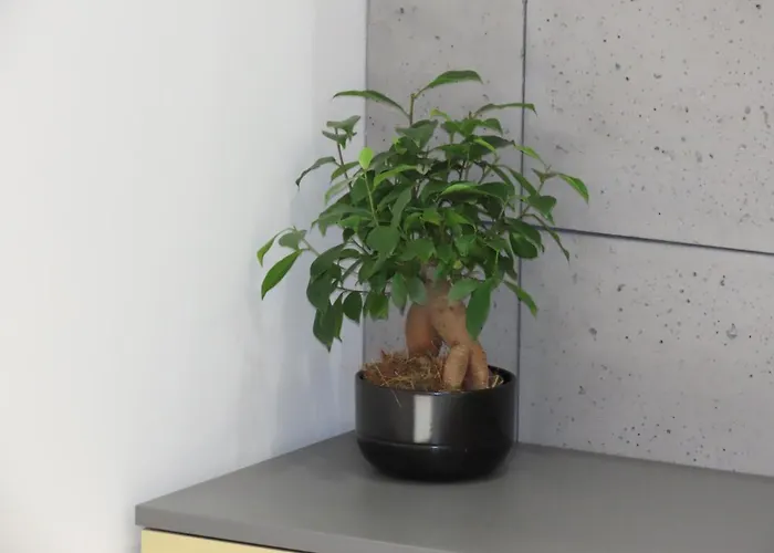 El - Polaris * Познань